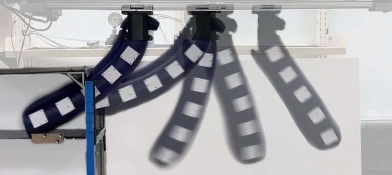 Reinforcement learning for soft robot arms
